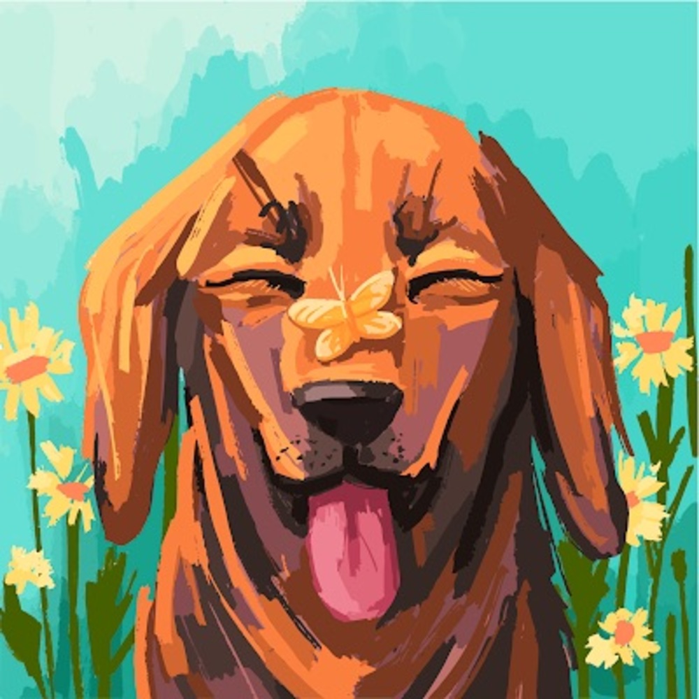 Meet your Posher, Lissette